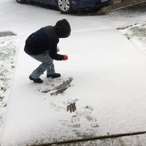 Meet your Posher, Herbert